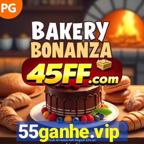 55ganhe.vip