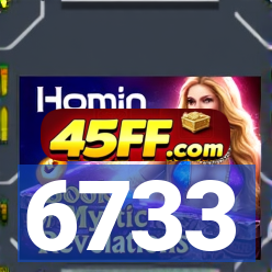 6733