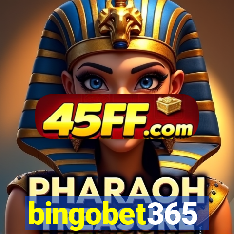 bingobet365