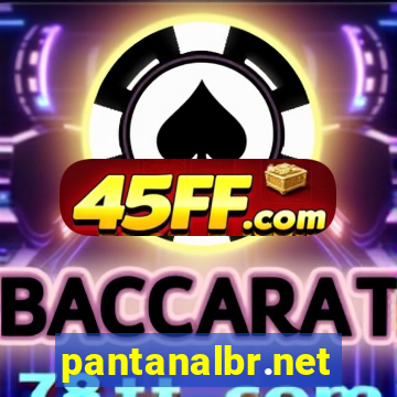 pantanalbr.net